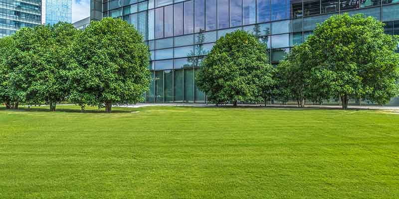 a large green field in front of a building