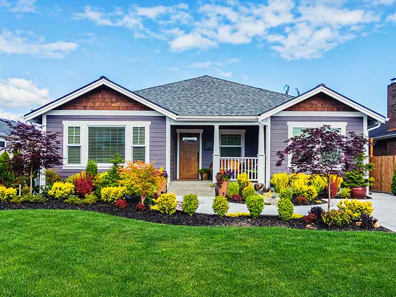 a close up of a green field in front of a house