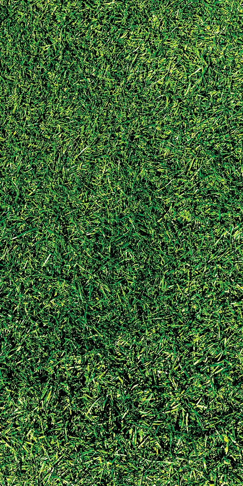 a close up of a green field