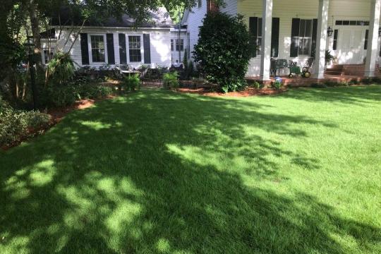 a large lawn in front of a house